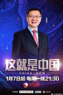 毒舌律师